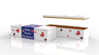 rect_305x105x74mm_h_gift_box_5